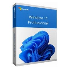 Logiciel Windows 11 Pro 64Bit French 1pk DSP OEI DVD