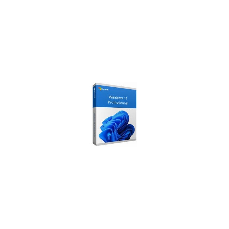 Logiciel Windows 11 Pro 64Bit French 1pk DSP OEI DVD