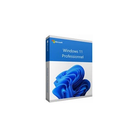 Logiciel Windows 11 Pro 64Bit French 1pk DSP OEI DVD