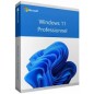 Logiciel Windows 11 Pro 64Bit French 1pk DSP OEI DVD
